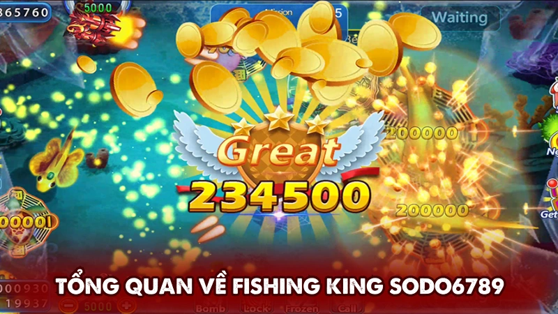 Tổng quan game bắn cá Fishing King Sodo6789 Tổng quan game bắn cá Fishing King Sodo6789
