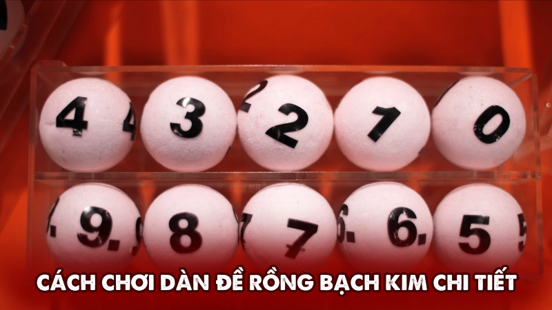 Hướng dẫn cách chơi dàn đề rồng bạch kim chi tiết