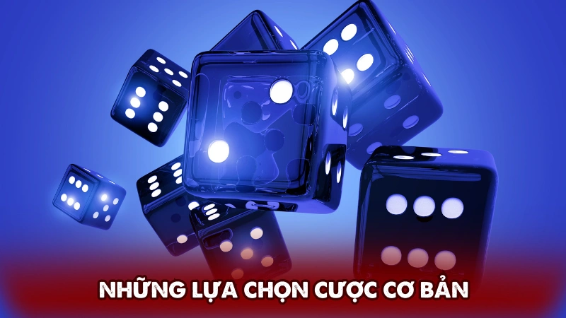 Những lựa chọn cược cơ bản Những lựa chọn cược cơ bản