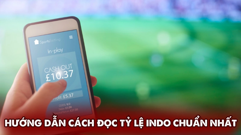 Hướng dẫn cách đọc tỷ lệ Indo chuẩn nhất Hướng dẫn cách đọc tỷ lệ Indo chuẩn nhất